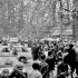 Městský park Rožnov u Včelína -1980